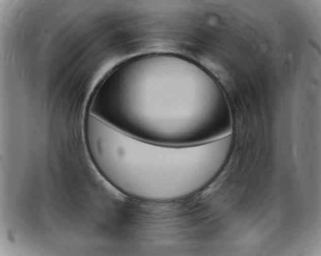 X0000097821334200803140757