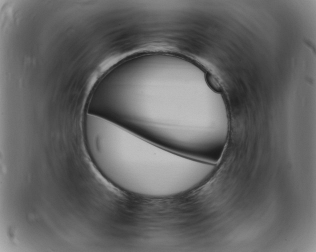 X0000097821335200803140757