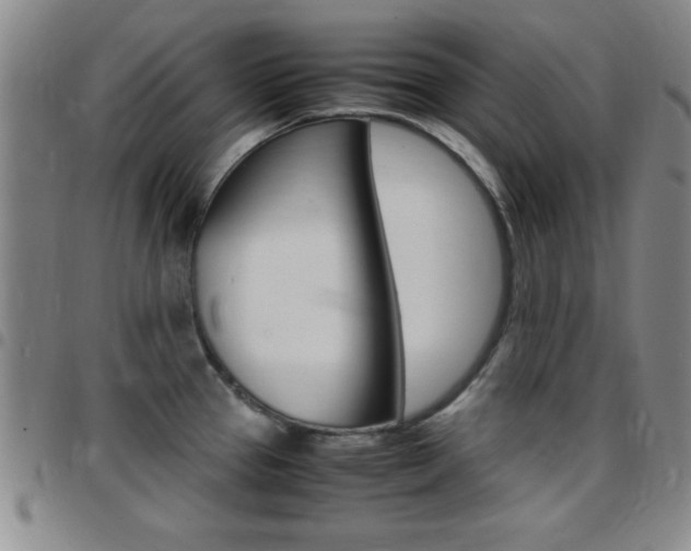 X0000097821337200803140757
