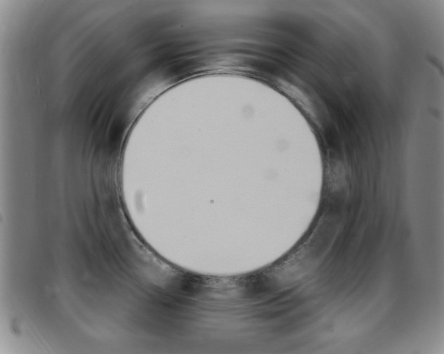 X0000097821338200803140757