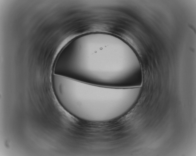 X0000097821339200803140757