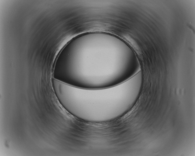 X0000097821340200803140757
