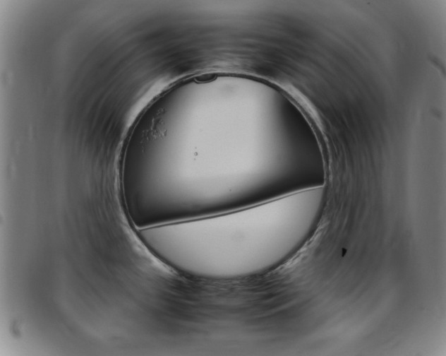 X0000097821341200803140757