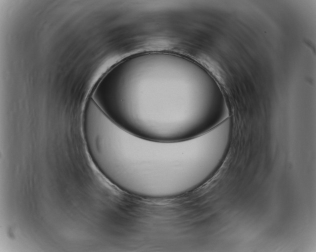 X0000097821342200803140757