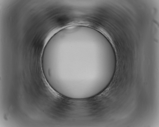 X0000097821344200803140757