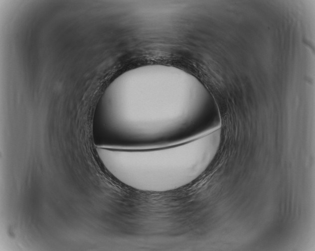 X0000097821345200803140757