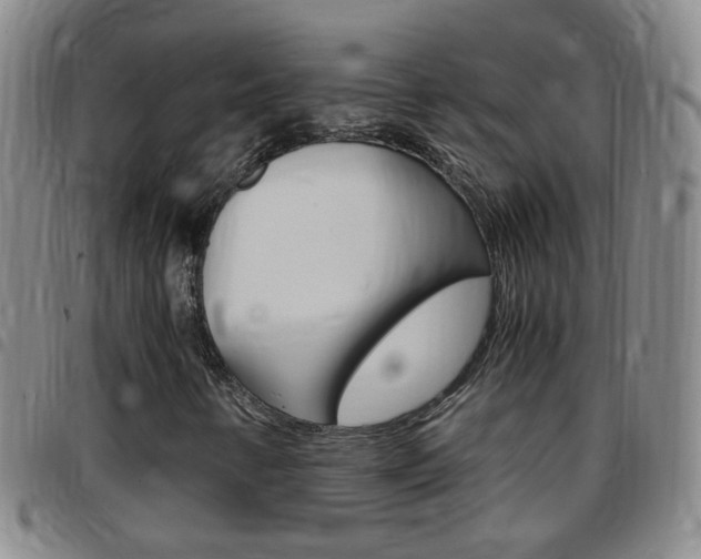 X0000097821346200803140757