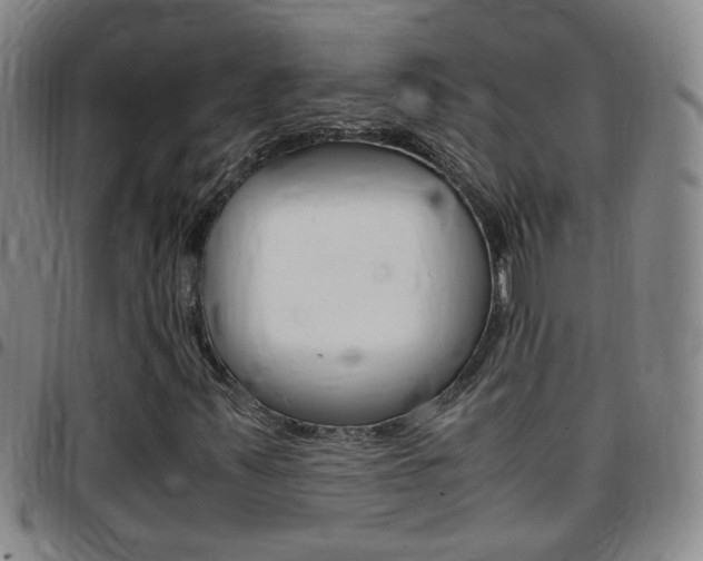 X0000097821347200803140757