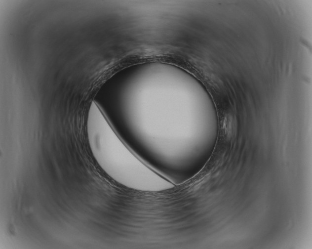 X0000097821348200803140757