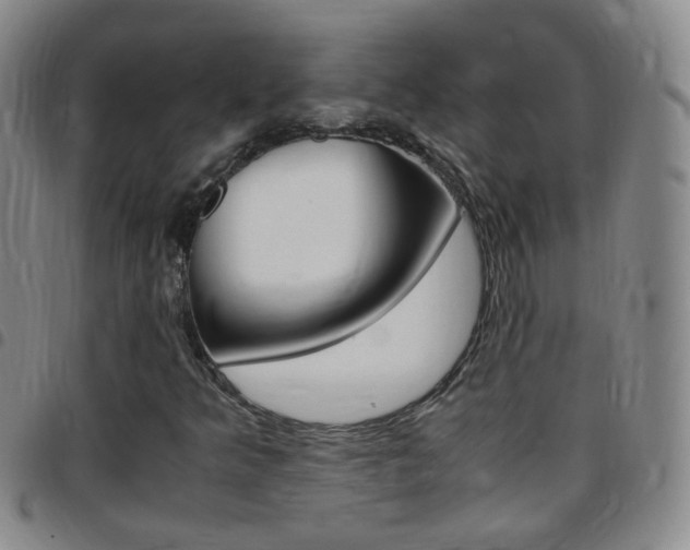 X0000097821349200803140757