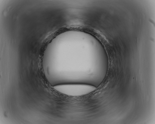 X0000097821350200803140757