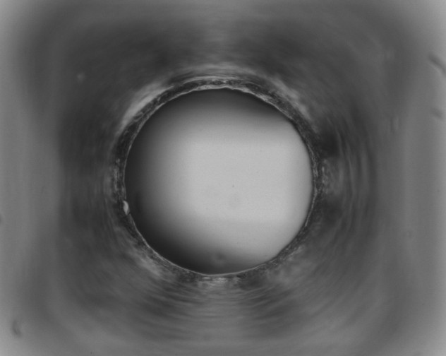X0000097821352200803140757
