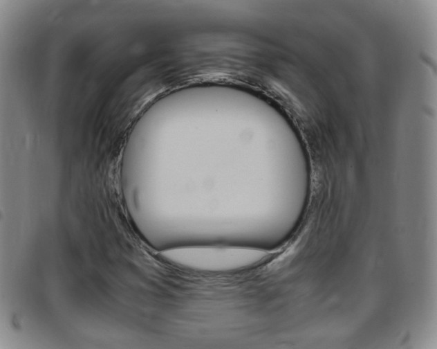 X0000097821353200803140757