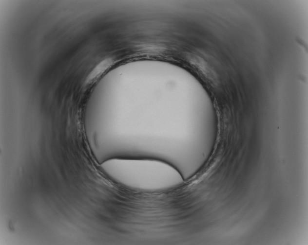 X0000097821354200803140757