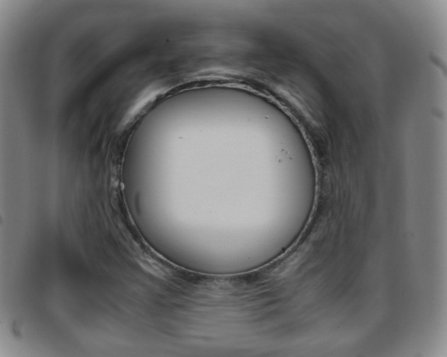 X0000097821355200803140757