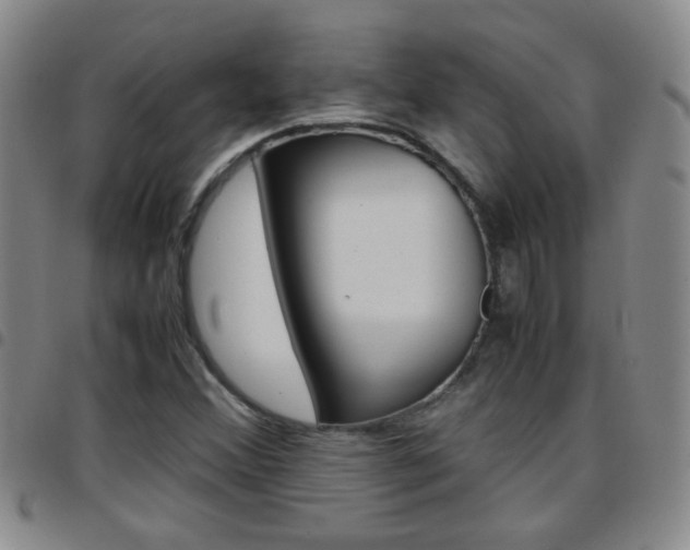 X0000097821356200803140757