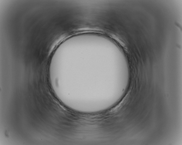 X0000097821357200803140756