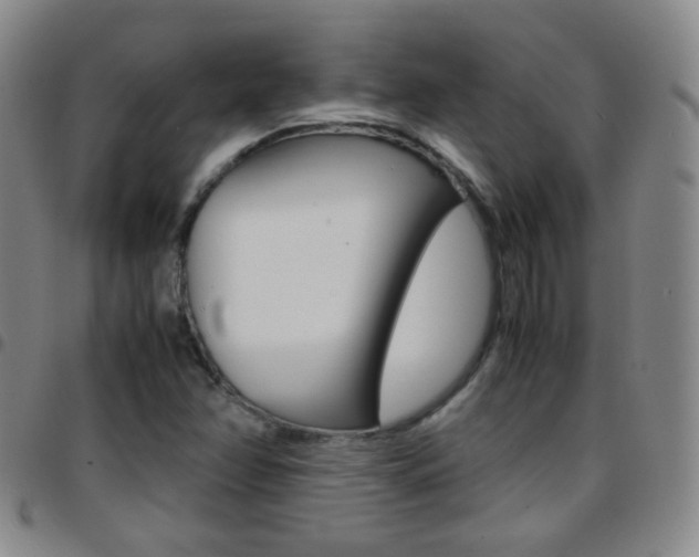 X0000097821358200803140756