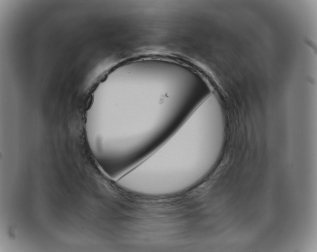 X0000097821359200803140756