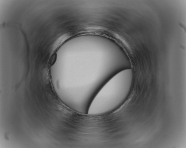 X0000097821362200803140756