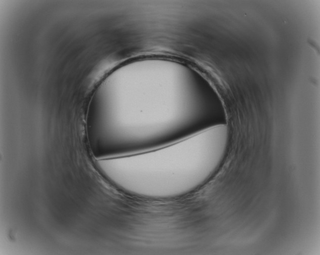 X0000097821363200803140756