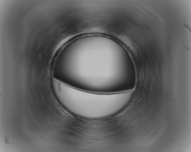 X0000097821364200803140756