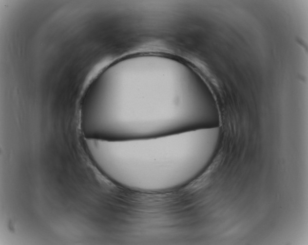 X0000097821366200803140756