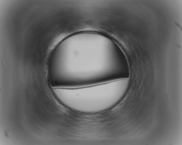 X0000097821367200803140756