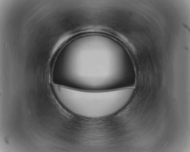 X0000097821368200803140756