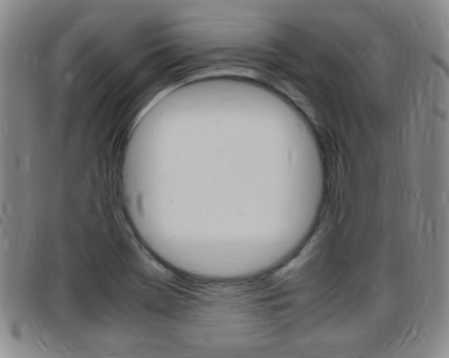 X0000097821369200803140756