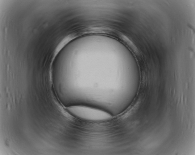 X0000097821370200803140756