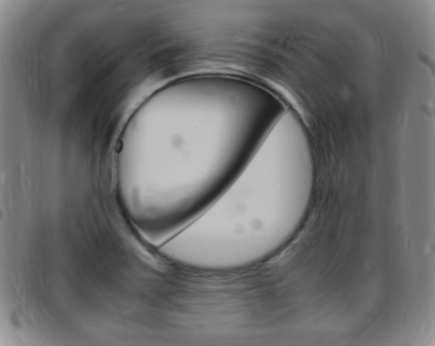 X0000097821371200803140756