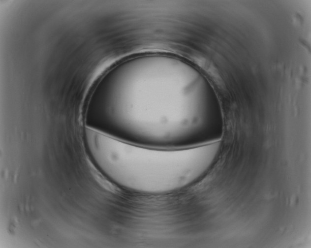 X0000097821372200803140756