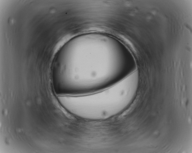 X0000097821373200803140756