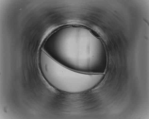 X0000097821376200803140756