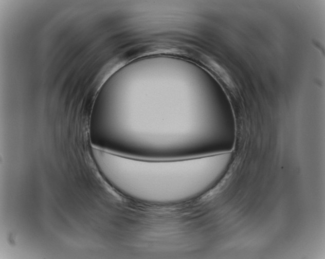 X0000097821377200803140756