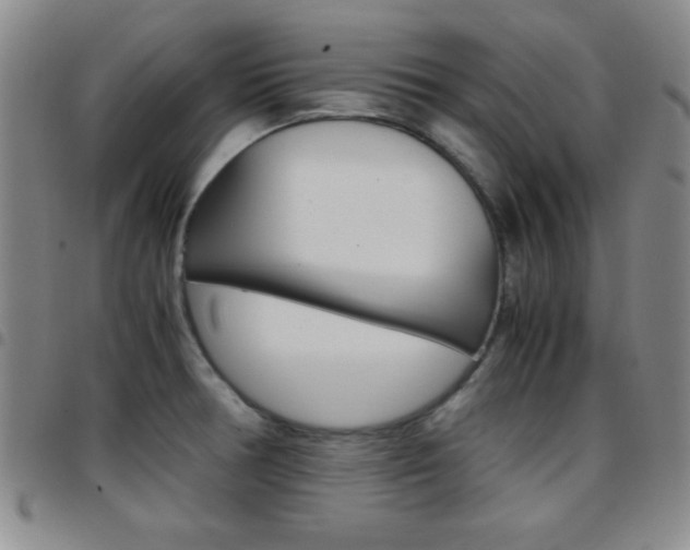 X0000097821378200803140756