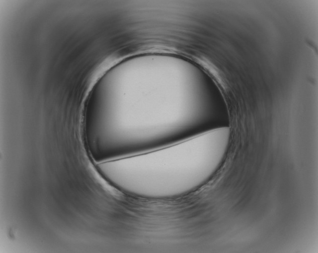 X0000097821379200803140756