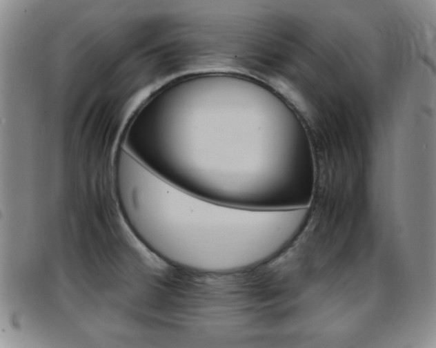 X0000097821380200803140756