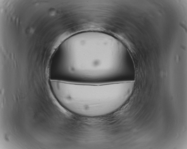 X0000097821383200803140756