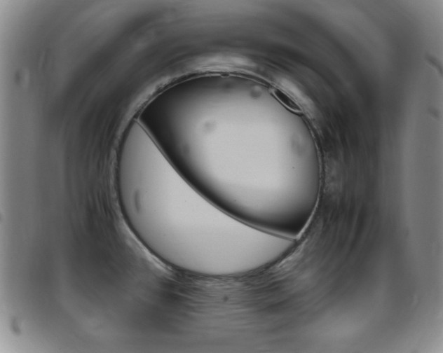 X0000097821384200803140756