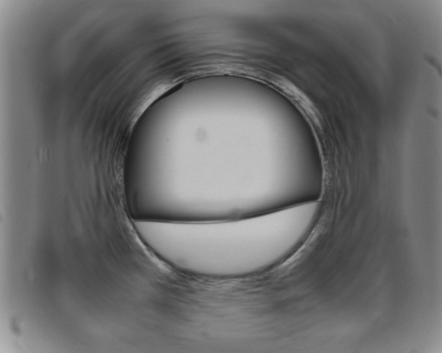 X0000097821385200803140756