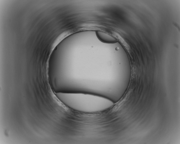 X0000097821386200803140756