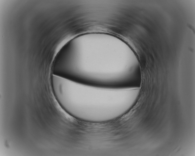 X0000097821387200803140756