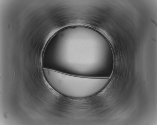 X0000097821388200803140756