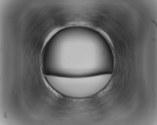 X0000097821389200803140756