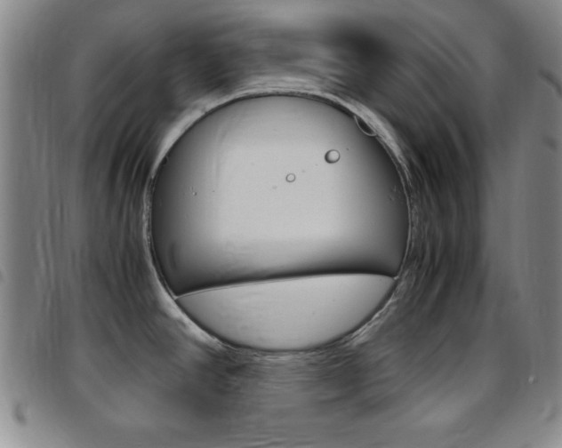 X0000097821390200803140756