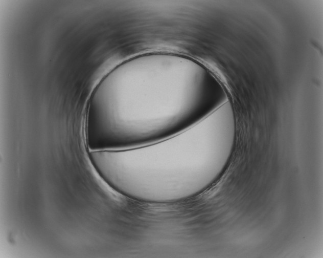 X0000097821391200803140756
