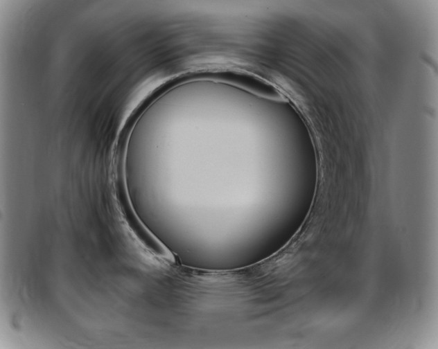 X0000097821392200803140756