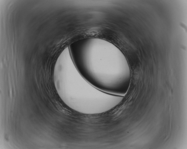 X0000097821394200803140755